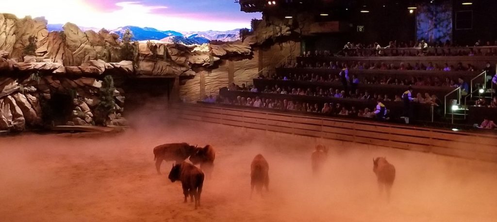 Planning a Branson trip and looking for things to do on your vacation? Head over to Dolly Parton's Stampede, the most visited dinner attraction in the world!