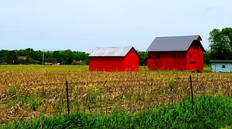 Girls getaway Hamilton County Indiana: Take a hike at Strawtown Koteewi Park.