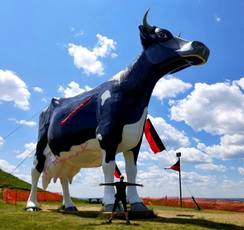 Roadside Attraction along I94 in North Dakota: Salem Sue, the world's largest hostein cow.