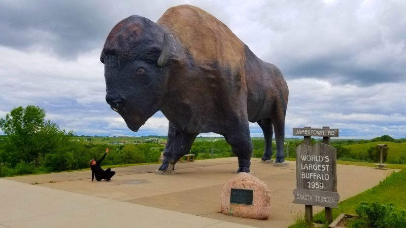 Roadside Attraction along I94 in North Dakota: World's Largest Buffalo, Dakota Thunder.