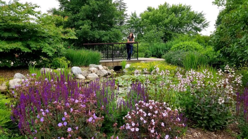 Clear Lake Destination Guide: Take a walk over to the Central Gardens of North Iowa. It's a beautiful community garden with flowing water and blooming flowers.