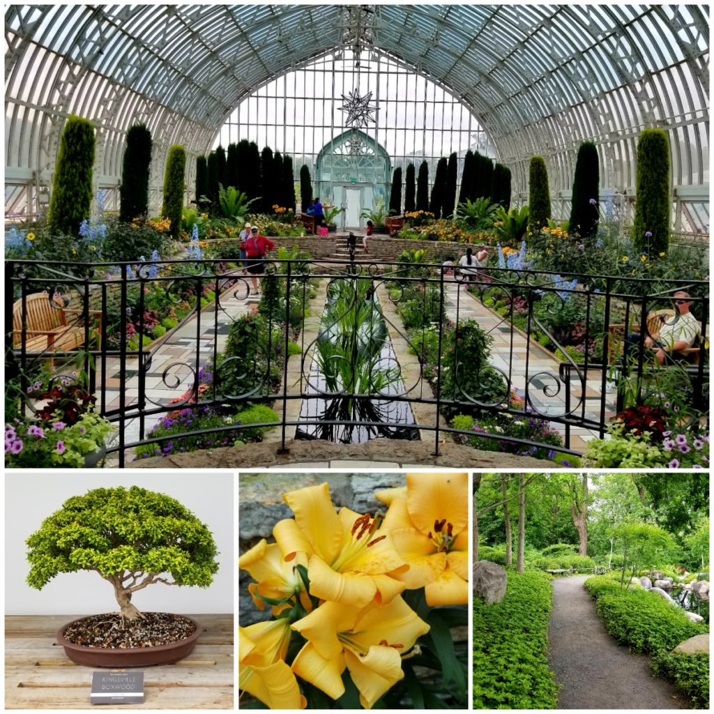 Best things to do in downtown St. Paul include a visit to the Como Conservatory. With over 100 years of history, the Como Park is a must-see in Saint Paul, Minnesota.