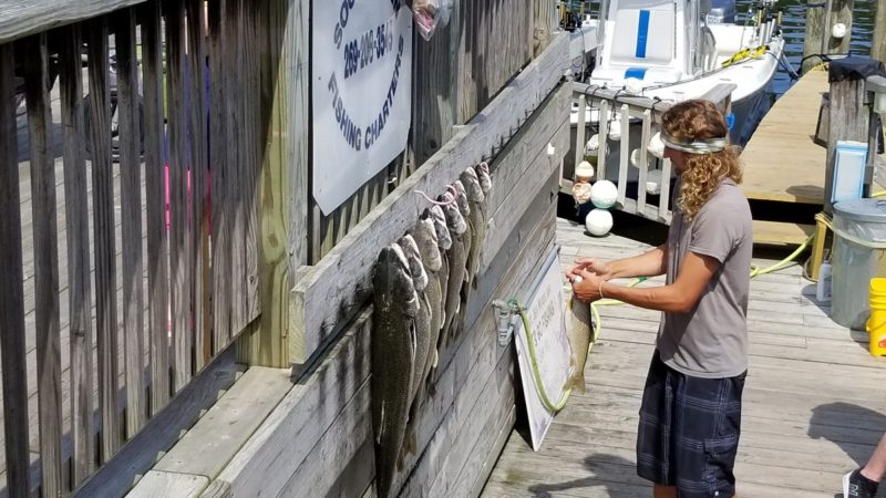 Top things to do in South Haven MI include charter fishing out on Lake Michigan.