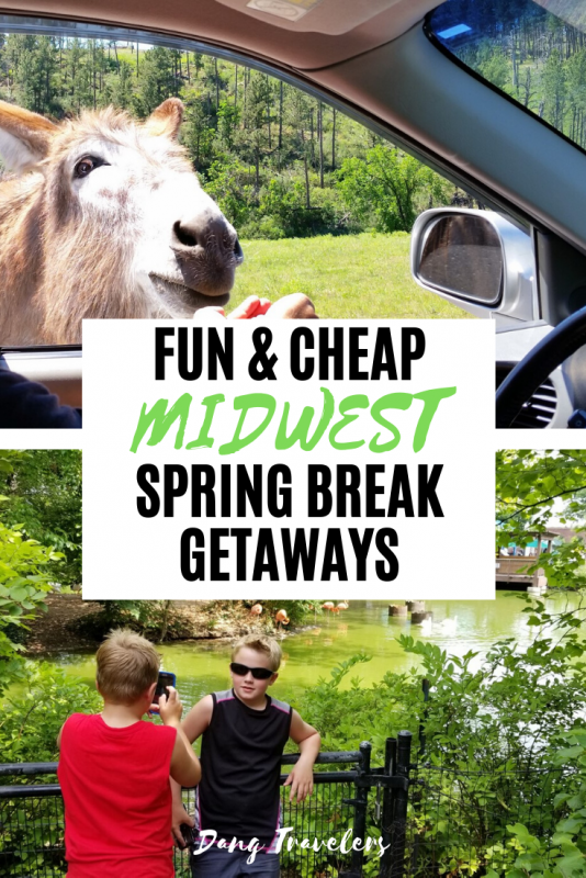 Fun and cheap Midwest spring break trips in Illinois, Missouri, Wisconsin, Indiana, Michigan, and more! From museums to indoor golf and snowmobiling to fish boils, there's something for everyone. #springbreak #midwest