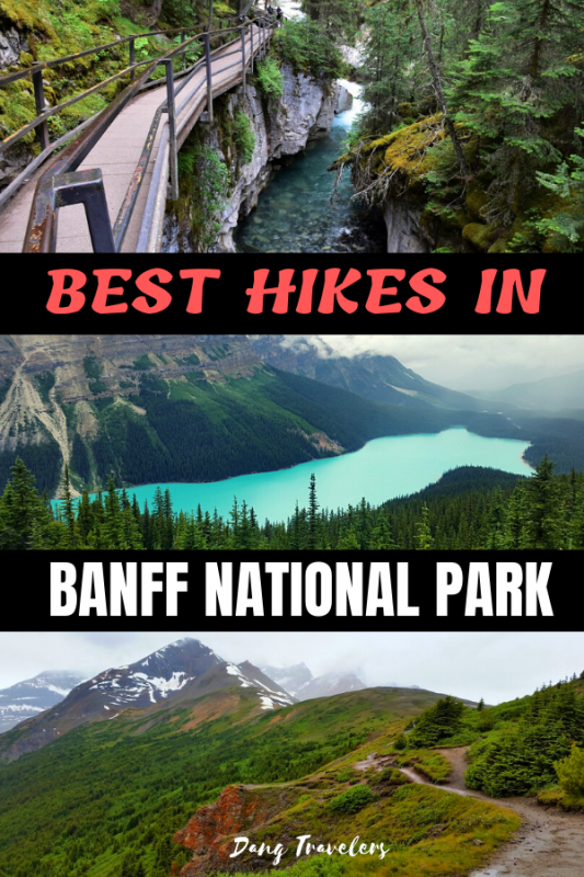 Whether you are looking for easy to strenuous, check out these beautiful hikes in Banff National Park. #Canada #hiking