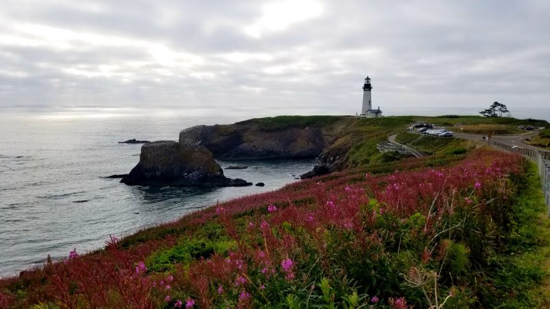 One of the must-see things in Newport, Oregon is Yaquina Head Lighthouse.
