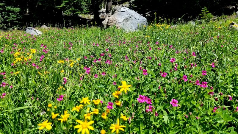 From easy to strenuous, add these best hikes in Crater Lake National Park to your bucket list. Map included!