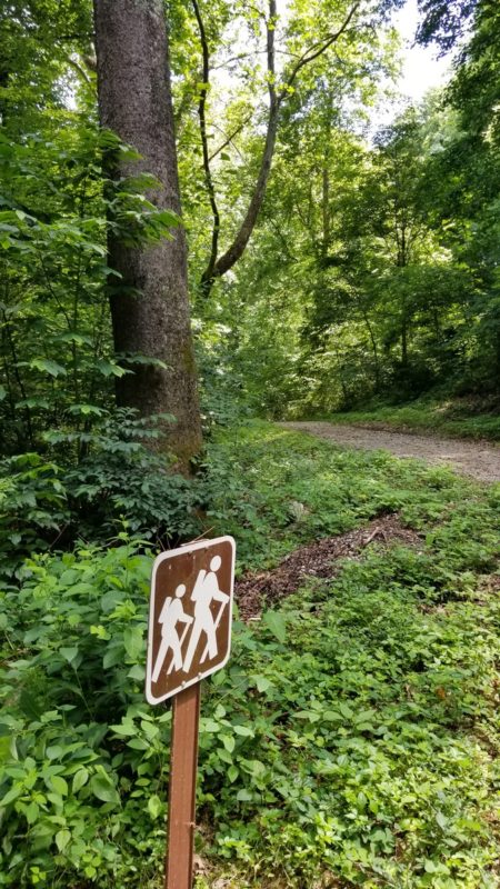 One of the best hiking trails near French Lick, Indiana in Patoka State Park. 