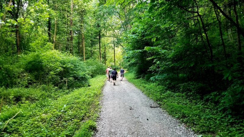 Hiking trail in Patoka State Park in Southern Indiana.