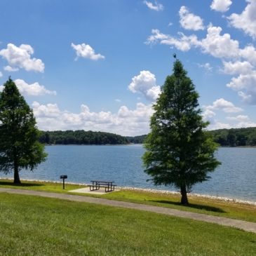 Everything You Need to Know About Visiting Patoka Lake