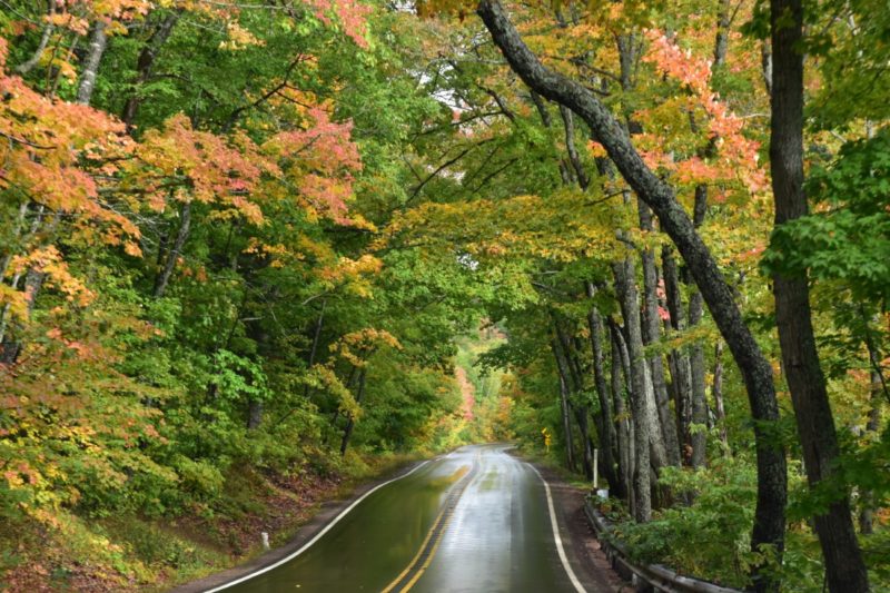 Fall in Michigan's Keweenaw Peninsula - Tunnel of Tress in Copper Harbor, Michigan.