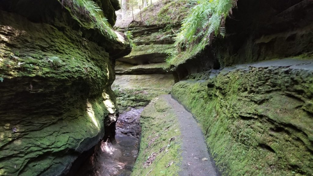 A Complete Guide to Turkey Run Camping and Hiking Trails – Dang Travelers