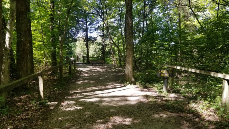 A beginner's guide to Turkey Run camping and hiking. One of Indiana's oldest state parks has some of the coolest trails in the Midwest.