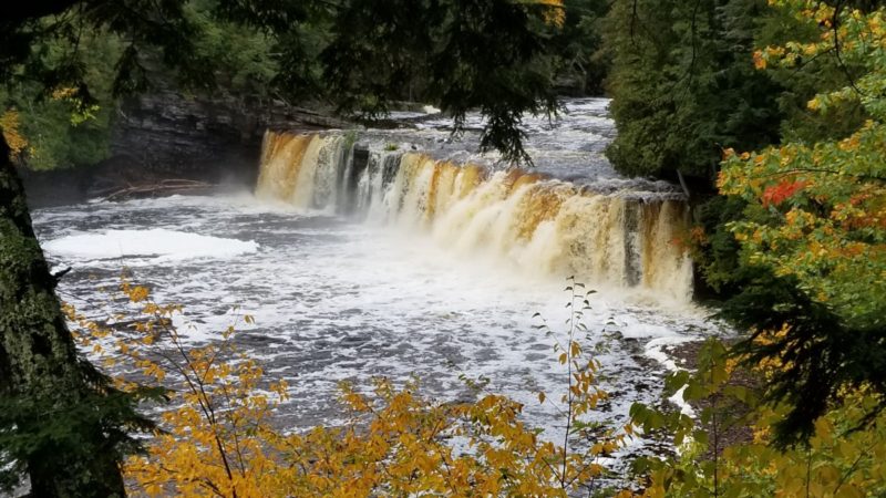 One of the best hiking trails in Porcupine Mountains is the Presque River Trail Loop.