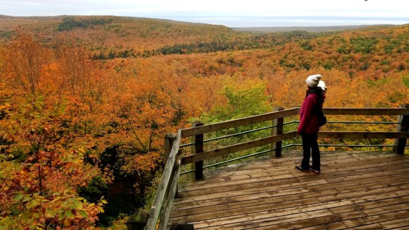 Where should I go in Michigan in the fall? Porcupine Mountains Wilderness State Park is one of the best places for fall foliage.