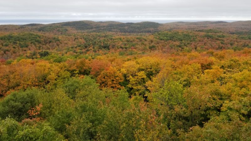 Where should I go in Michigan in the fall? Porcupine Mountains Wilderness State Park is one of the best places for fall foliage.