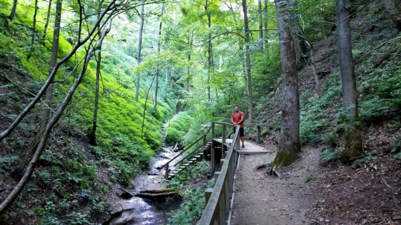 The famous stairs at Turkey Run State Park in Indiana.