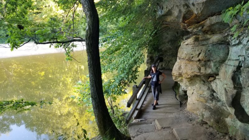 Trail 3, one of the best trails in Turkey Run State Park.