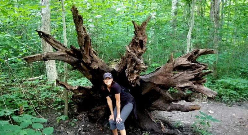 Trail 5 in Turkey Run Park