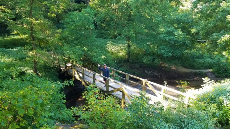 Trail 6 in Turkey Run State Park