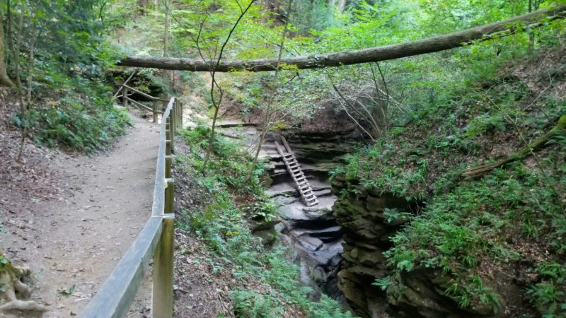 Trail 3, one of the best trails in Turkey Run State Park.