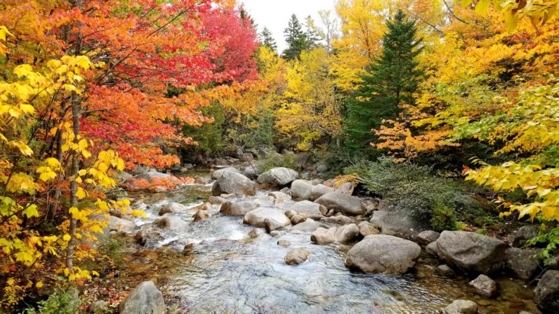New England Road Trip: Fall color in Acadia National Park, Maine.