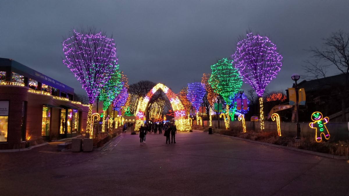 Where to Find The Best Chicago Christmas Lights This Year Dang Travelers