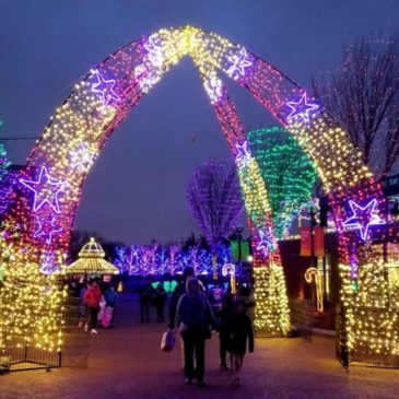 Where to Find The Best Chicago Christmas Lights This Year