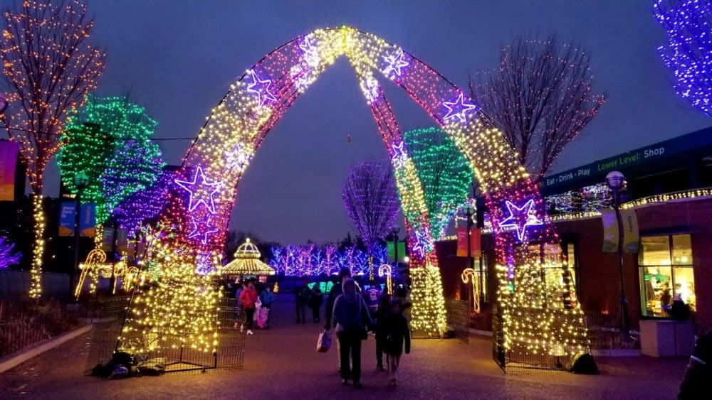 Where to Find Chicago Christmas Lights This Year – Dang Travelers