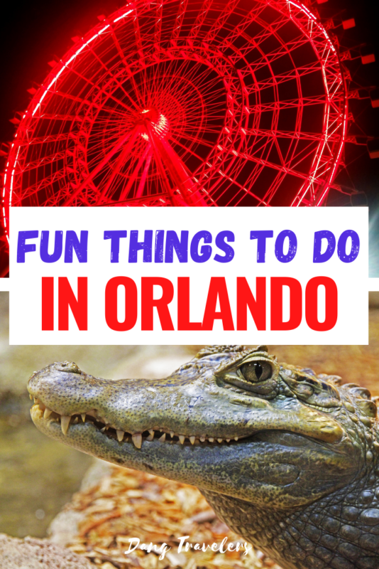 The ultimate Orlando bucket list! The best things to do in Orlando include local attractions, alligators, fun bars, and kids activities more! Whether you are an adult looking for entertainment or a family with kids looking to do things besides the parks, check this list out! #orlando #florida #besidesdisney #couples