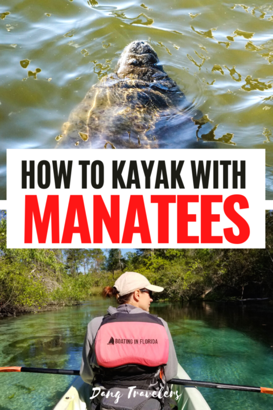 How to kayak with manatees at Weeki Wachee Springs State Park in Florida. Your unforgettable day will include mermaids, a crystal clear river, and manatees. #weekiwachee #springskayaking #florida