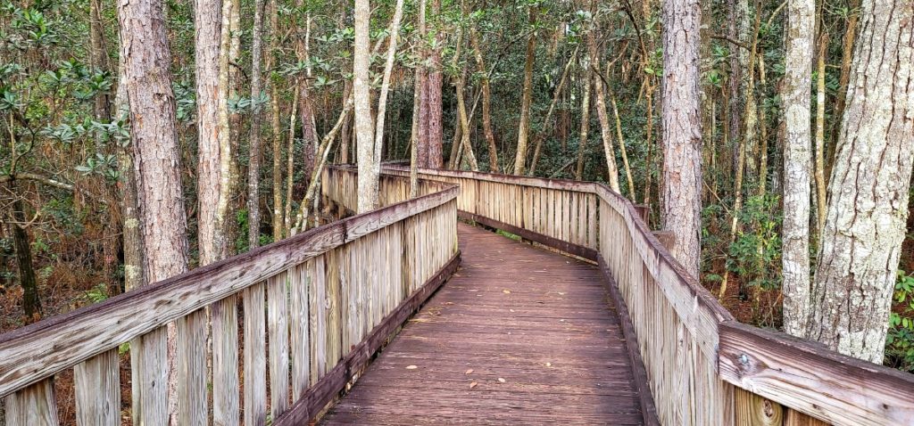 A boardwalk at Tibet-Butler Nature Preserve in Orlando.