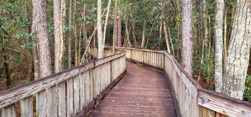 The Coolest Things to Do in Orlando besides Theme Parks – Dang Travelers