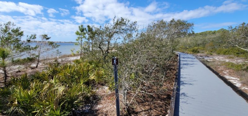 A boardwalk with a hiker sign parallel to Little Lagoon Lake on the Jeff Friend Trail in Bon Secour National Wildlife Refuge.