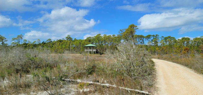 The observation tower on the Pine Beach Trail at Bon Secour Refuge in Alabama.