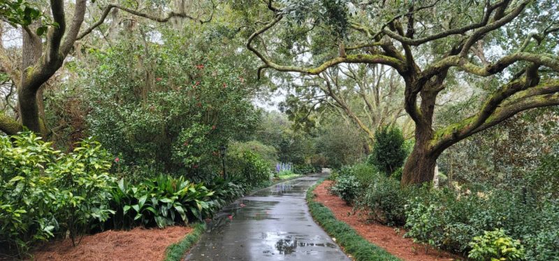 One of the best things to do in Mobile Alabama is Bellingrath Gardens and Home.