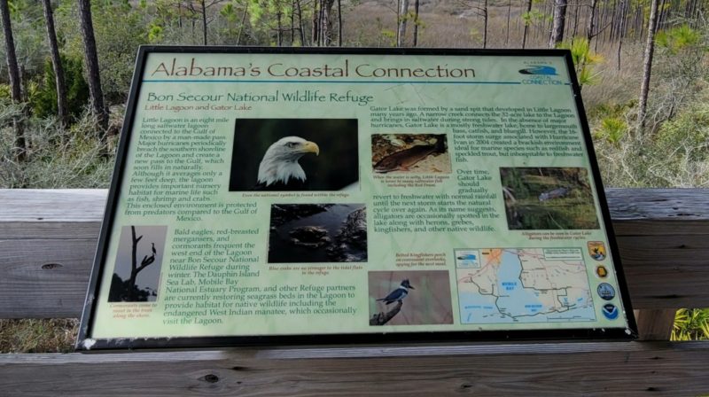 An Alabama's Coastal Connection information sign with wildlife that visits Bon Secour Refuge in Gulf Shores.