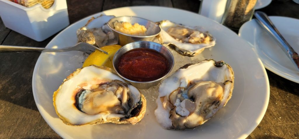 Four raw oysters at Cobalt Restaurant in Orange Beach, Alabama.