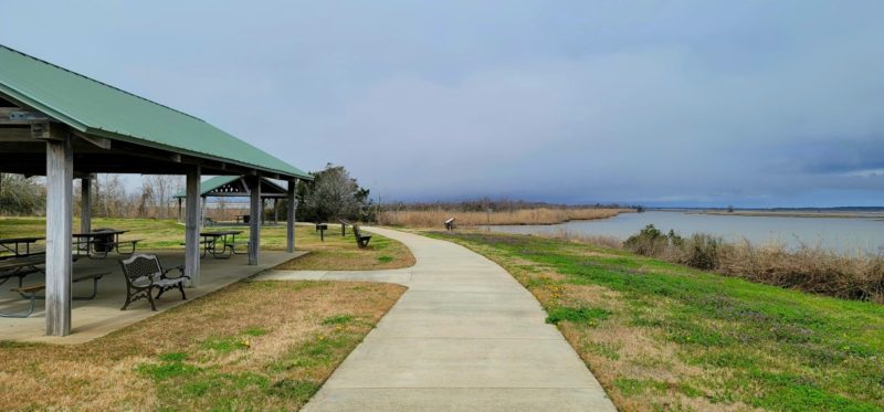 Walking trail at the Five Rivers Delta Center in Mobile, Alabama.