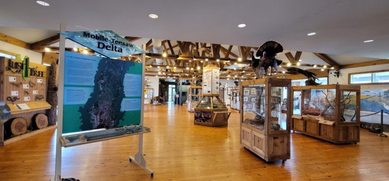 Inside the nature center at the Five Rivers Delta.