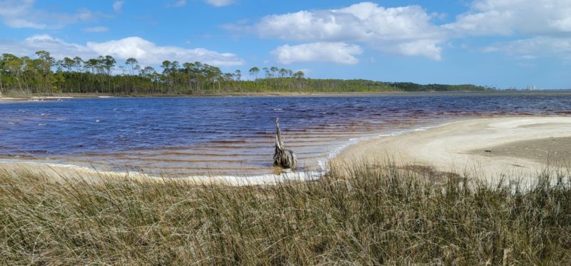 Water view of Gator Lake on the Pine Beach Trail in Bon Secour Refuge.