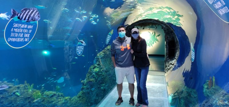 The 360-degree tunnel at the new Mississippi Aquarium in Gulfport, Mississippi.