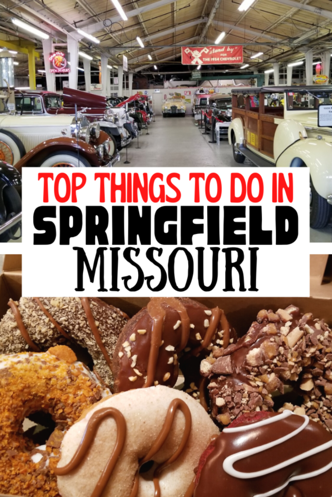 places to do homework in springfield mo