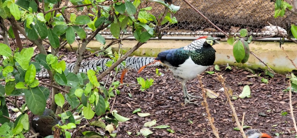 Bird aviary at the aquarium in Gulfport, Mississippi.