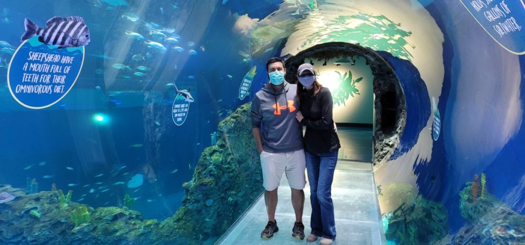 MS Aquarium 360-degree tunnel with fish, stingrays, and sharks.
