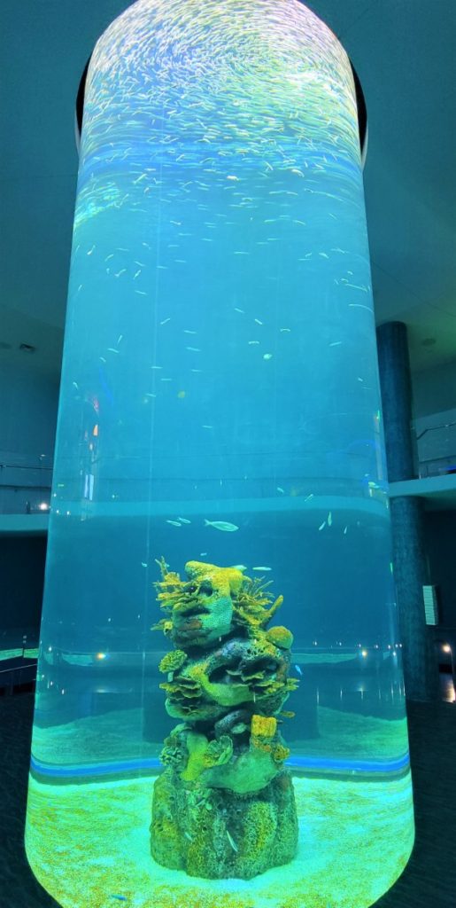 The swirl exhibit at the MS Aquarium in Gulfport.