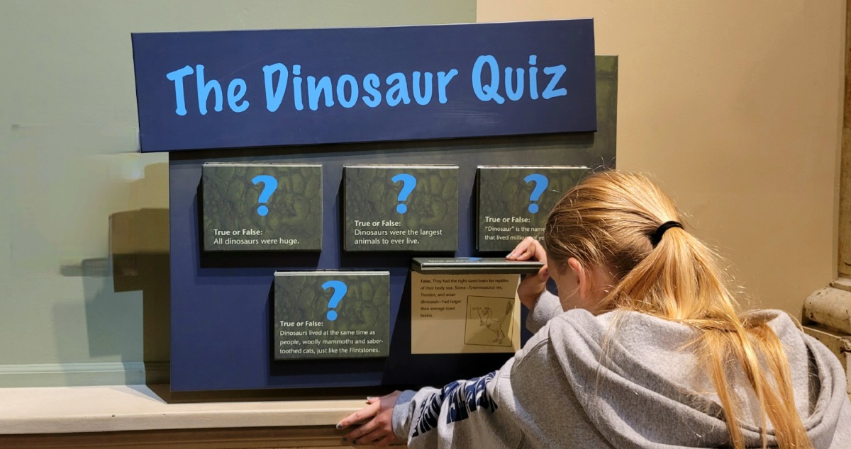 A dinosaur quiz with true and false question.s