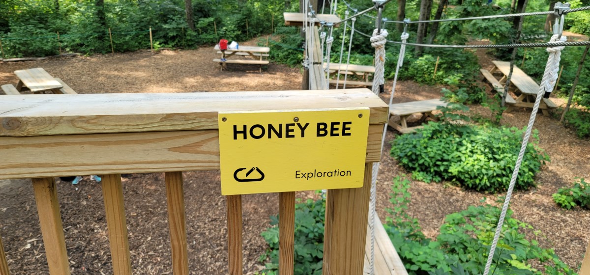 Honey Bee Course