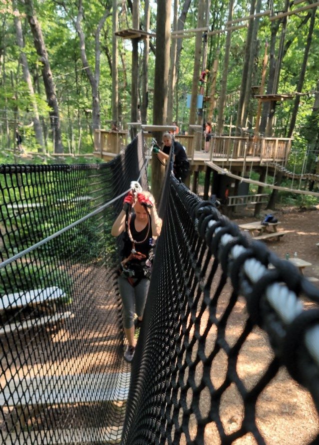 Rope bridge at Boundless tree top course.