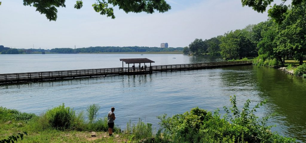 A boardwalk in Tom Madonia Park connecting two parks over Lake Springfield.